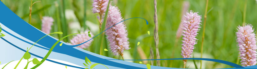 Office de tourisme du Pays d’Ambert